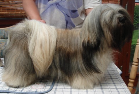 file:///C:/Dokumente%20und%20Einstellungen/Madeira%20Martins/Eigene%20Dateien/Eigene%20Bilder/Trouper24.06.12.jpg
