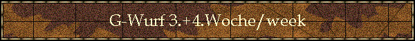 G-Wurf 3.+4.Woche/week