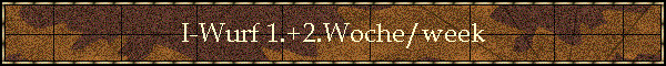 I-Wurf 1.+2.Woche/week