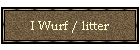 I Wurf / litter