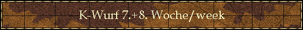 K-Wurf 7.+8. Woche/week
