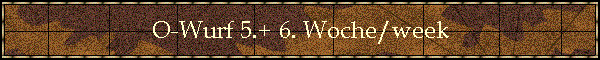 O-Wurf 5.+ 6. Woche/week